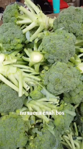 nusaena hargina terbaik angkut#pengikut #pasarinduktanahtinggi #fyp