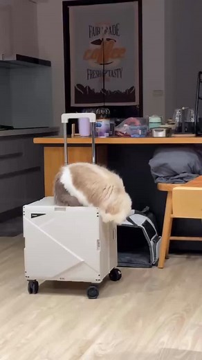 Yu-Ting Hsieh on Reels | Facebook