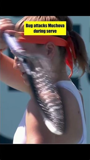 Mukhang fan ni Alex yung insekto. | Eala v Muchova Recap @ Miami