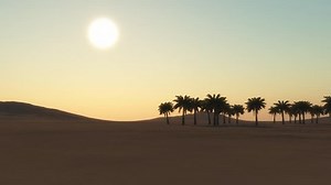 Silhouettes Palm Trees Over Sunrise Background Stock Footage Video (100% Royalty-free) 1026382616 | Shutterstock