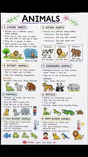 Animals Notes for Kids 📚 | Mammals, Reptiles, Endangered & Extinct Animals