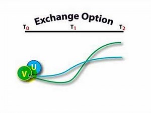 FRM: Exchange option