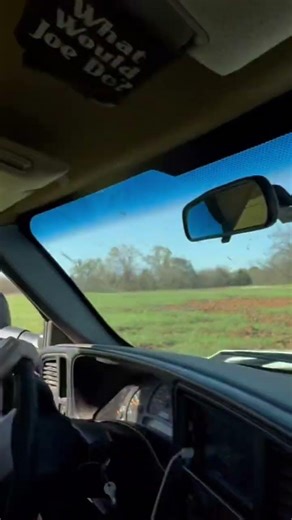 These hogs have DESTROYED this farmers field! #caughthog 🐗💥😡😤