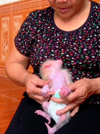 Grandmother Change the Diaper of baby girl funny vidoes theo funny clips monkey funny video Monkey baths monkey videos