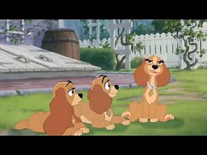 Lady and the Tramp 2 Scene Sisters