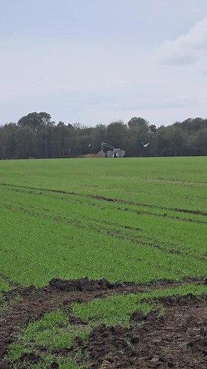 Dealing with very wet conditions in Dover but still managed to install the cable ahead of schedule! Top work team! | Letts & Reynolds Civils LTD
