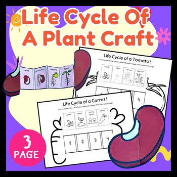 Life Cycle of a Bean Tomato Carrot Plant Craft Activity Science cut and paste
