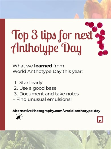 Our top 3 tips we learned from World Anthotype Day: #1 - Start early - Exposures are long #2 - Use a good base #3 - Document and take notes Subscribe to our special Anthotype Newsletter to get more tips: 👉 https://www.alternativephotography.com/anthotype/ #alternativeprocesses #altprocess #AlternativePhotography #altprocesses #anthotypes #anthotype