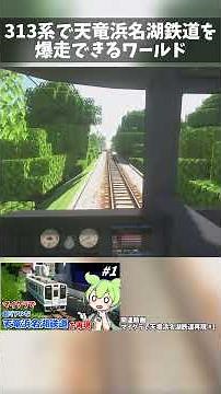 【RTM前面展望】313系で天竜浜名湖鉄道(非電化)を爆走できるワールド #shorts