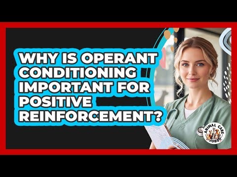 Why Is Operant Conditioning Important For Positive Reinforcement? - Animal Care Jobs