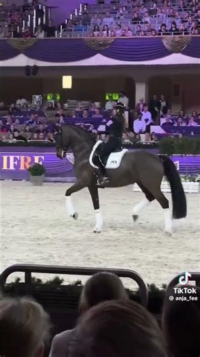 Dressage😍 #horse #equestrian @Pferde_cookie @Kleines_tinkerchen #equestrianjourney