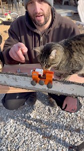 9.8K views · 139 reactions | Time to #sharpen the #chainsaw with the #timberline pro. #stihl #sharp #teeth #cut #fast #portable #cat #barncat | Harpeth Timber & Mill | Facebook