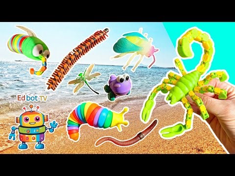 Kids Learn | Bug Insect Names at the Lagoon: Centipede Bee Earthworm Slug Scorpion