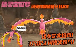 【Maxの闪神捕获计划#3】挥舞燃烧的双翅！375次闪光火焰鸟诞生！