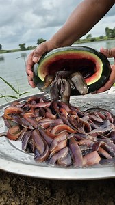 Watermelon trap fishing method #fish #trap #fishing #viral #video | Fisherman Animal Lover-Original