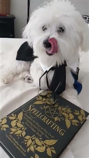 Me when my mom tried FORCING school picture.#school #force #momlove #momlovesson