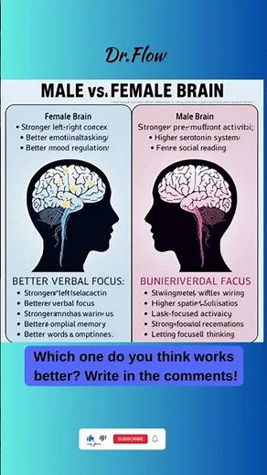 MALE vs FEMALE BRAIN – What’s the REAL difference?