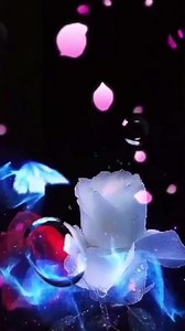 #video #parati #musicaromantica♥️😍paratí #tik_tok #fypシ゚viral