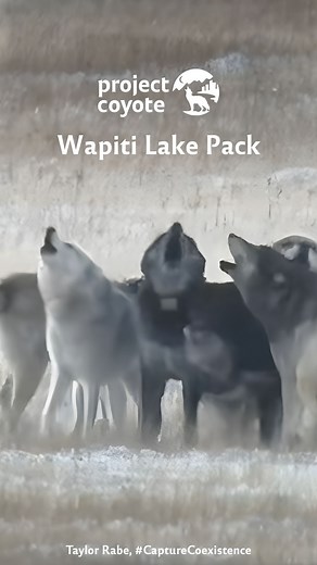 314K views · 13K reactions | You'll want to turn your volume UP for...