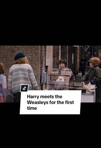 Trust Molly Weasley: A Harry Potter Perspective