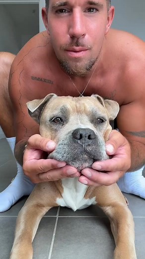 7.4K views · 317 reactions | Chien mignon on Reels | Facebook