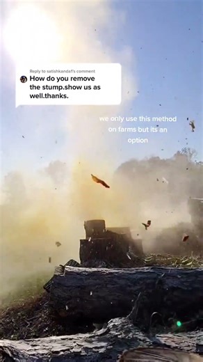 and option # 2 this this ⅛ the amount I use on a normal stump maid this video just for you my friend