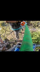1.5K views | All chainsaw PPE ✔️. 50 feet in the air ✔️. Rigging sling and block ✔️. All knots tied correctly ✔️. Send it. #realreels #stihl #chainsaw #arborist #sendit | Holland Tree Service LLC | Facebook