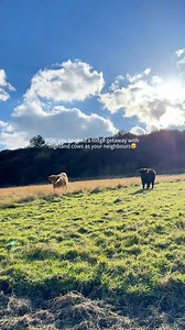 154K views · 692 reactions | Happy World Animal Day! ​ Say hello to...