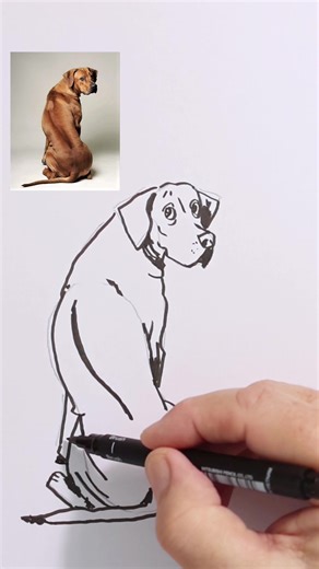 Dessiner un chien avec deux cacahuètes : tutoriel facile