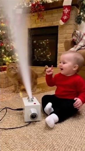 Orange cat vs. Snow machine #christmas #snow #cat #funny