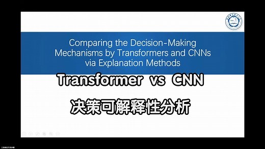 Transformer和CNN的决策分析(CVPR best student paper)