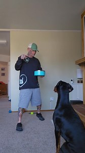 190K views · 4.7K reactions | Chance learning more sign language. He is so incredibly smart. And he really really pays attention #hypnoticsigner #tattooedsignlanguageguy #uniquesigner | Scott Berends | Facebook