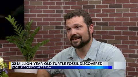 32-million-year-old sea turtle fossil discovered in south Alabama