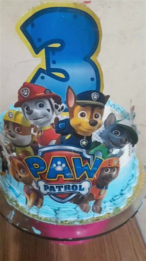 Delicious Paw Patrol Cake Recipe from Bolivia