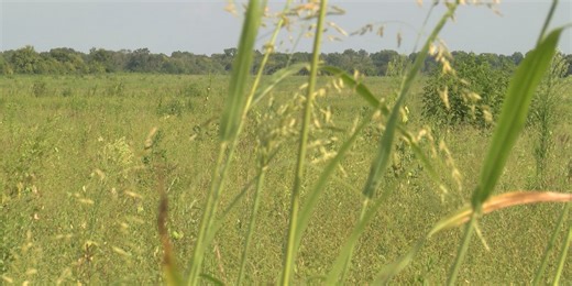 Uncertainty surrounds proposed 62-acre Pike Road neighborhood