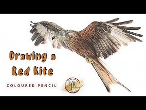 How to Draw a Kite Kite in Coloured Pencil