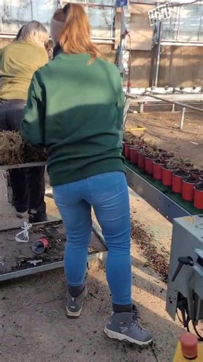 A busy week for the team - Four Installs, Two Repairs, 3 Sites Serviced, Machines in, Machines Out! Have a look at this Javo Plus commissioned by Dan Downie this morning set up for Double 9s - growing Strawberries - 😋🍓 Spalding, Harlow, Newent, Stone, Worcester and Warwickshire 🔧⚙️🔩⛓️Hortec Grow With Technology Ltd Steve Dunn | Hortec Grow With Technology Ltd