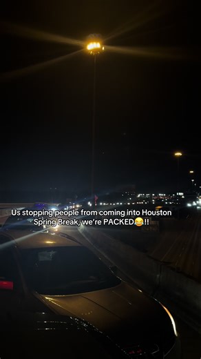 Spring Break Activities in Miami for 2026