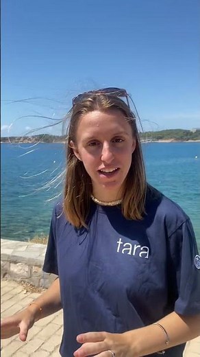 Les questions de Marie sur l'Océan - Épisode 10 : C’est quoi le plancton ?