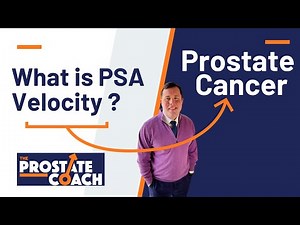 What is PSA Velocity ?