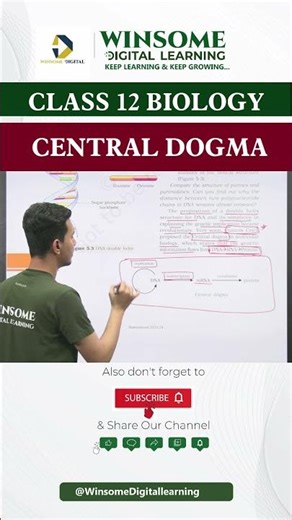 Central Dogma | Class 12 Biology #cbse12thbiology #education