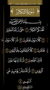 53K reactions · 8.7K shares | #سورة_التَّكاثر☘️ #القرآن_الكريم☘️ #تلاوة_خاشعة | ALi Amazigh | Facebook