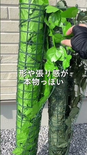 [カインズ公式]グリーンカーテン🍃 #shorts #カインズ #カインズ購入品 #便利アイテム #便利グッズ #暮らしの道具 #暮らしのアイデア #暮らしの知恵
