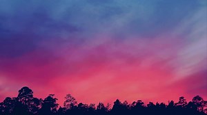 4.8K views · 165 reactions | Coldplay - Viva la Vida (Lyrics) | 혼홡홚홭 홈홪홨홞환 ₇₄ | Facebook