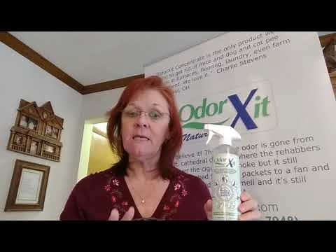 Do You Have a Dead Rodent That Smells