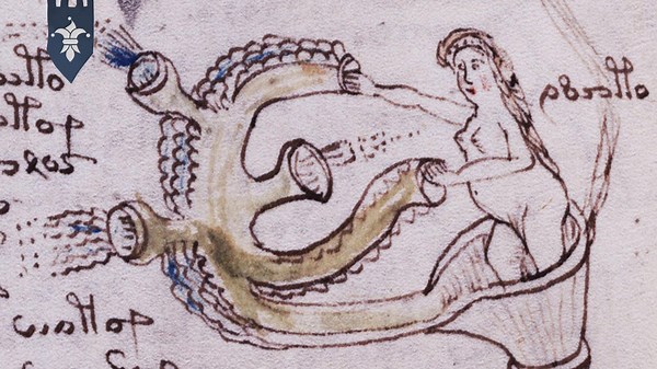 This Medieval Manuscript Still Baffles Experts Today