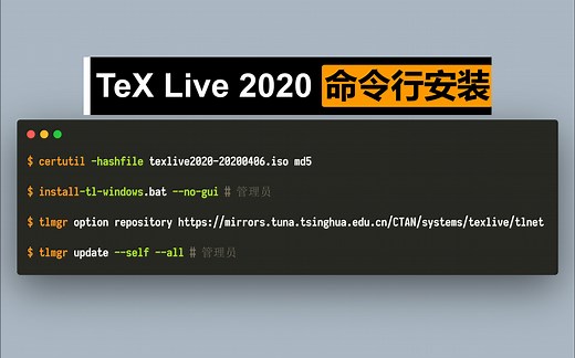 Tex Live 2020 命令行安装