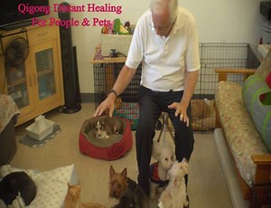 73K views · 501 reactions | FREE DISTANT HEALING. Powerful Global...