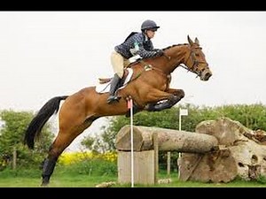 Amazing horse jumps slow mo Chatsworth horse trials