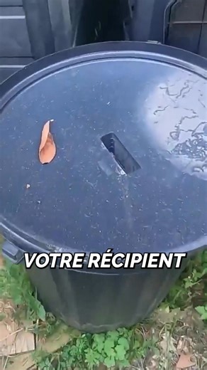 Découvrez le purin de consoude 🌱 : vraiment efficace ? #purindaconsoude #jardinage #potager #plantes #ecologie #bio #fertilisant #nature #conseilsjardin #astuces | Le potager d'Olivier